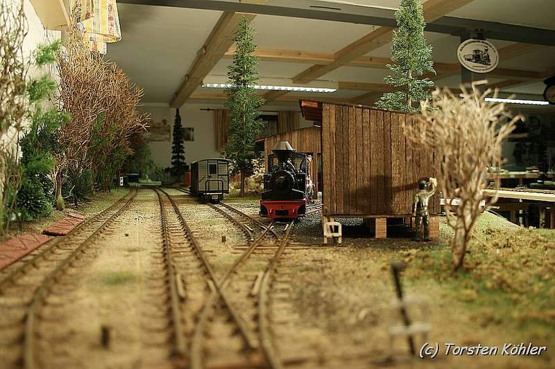 WEM-Tiergarten_Ost_6