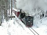 10818_Winter_05.JPG