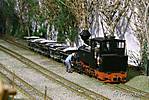 1081WEM-M_hlrose_1.JPG