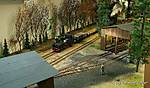 1081WEM-Tiergarten_Ost_1.JPG