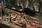 1081WEM-Tiergarten_Ost_4.JPG