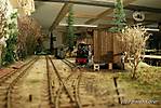 1081WEM-Tiergarten_Ost_6.JPG