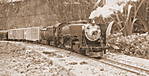 2871gartenbahn_0872.jpg