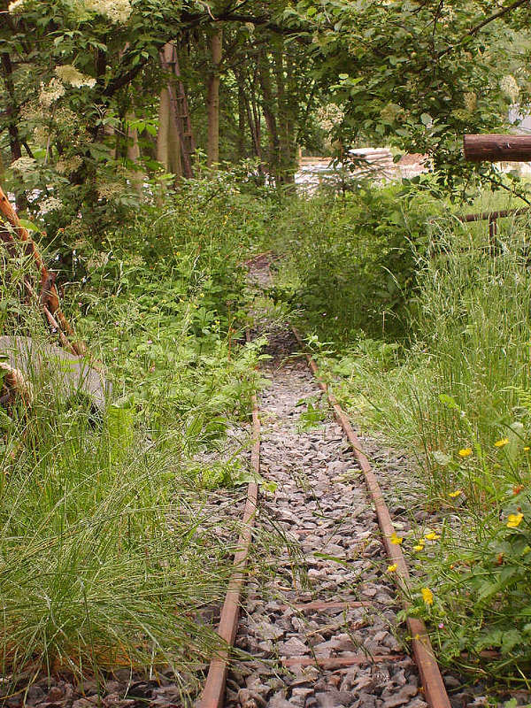 Strecke_zugewachsen01