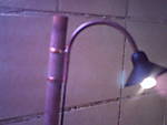 2985PICT0002.JPG