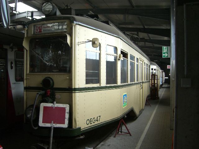 OEG_01