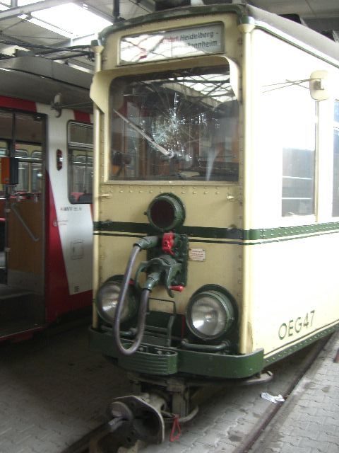 OEG_02