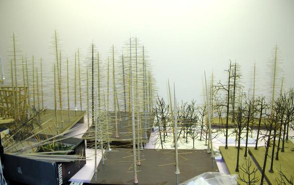 Baumrohlinge in allen Stadien - 1