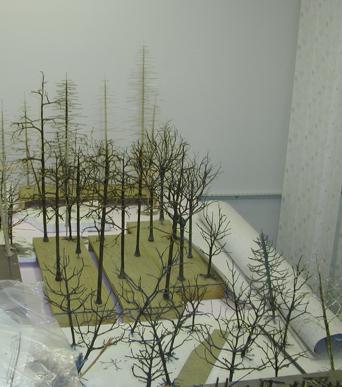 Baumrohlinge in allen Stadien 2