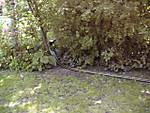 2585Garten_003.jpg