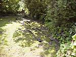 2585Garten_004.jpg