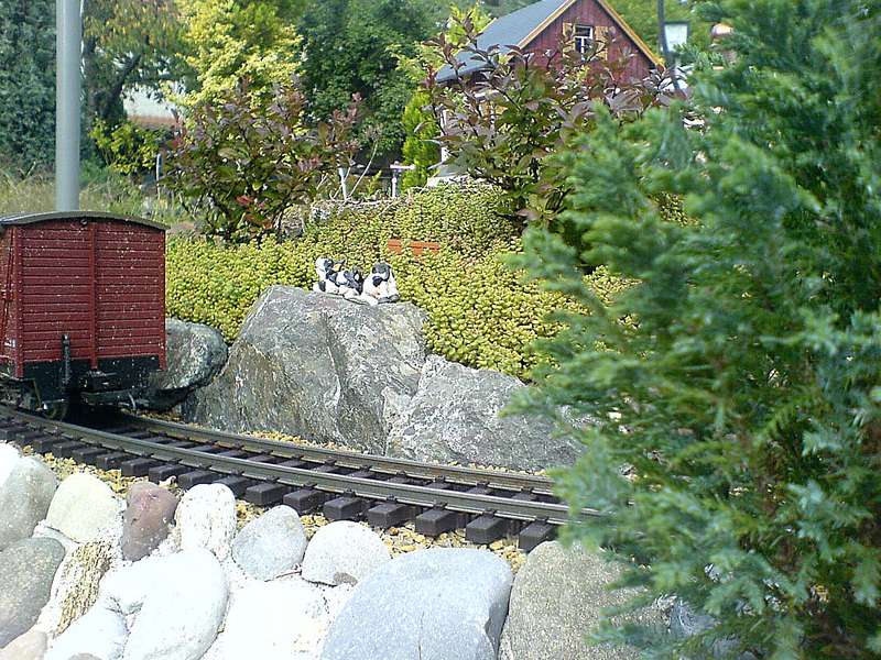 19_08_07_Streuobstwiesen01