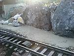 116021_09_07_Bahnsteig_Alb_02.jpg