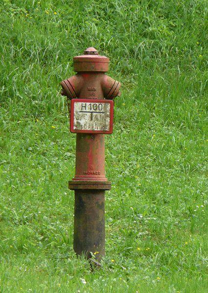 Hydrant_auf_Wiese_1