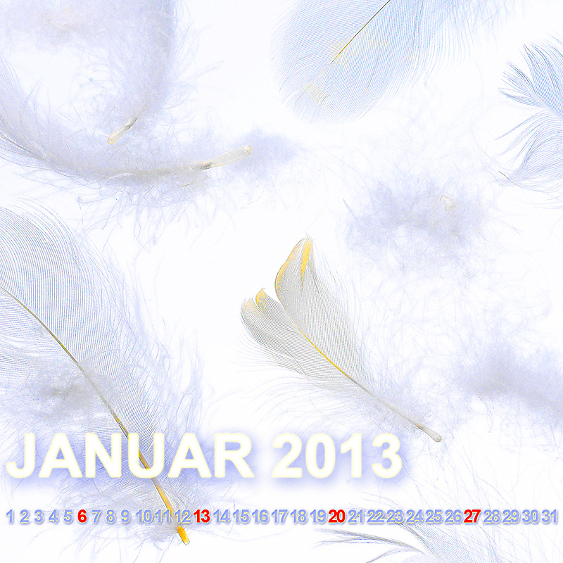 Januar-2013