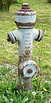 2903Hydrant_Theeszen-1.JPG