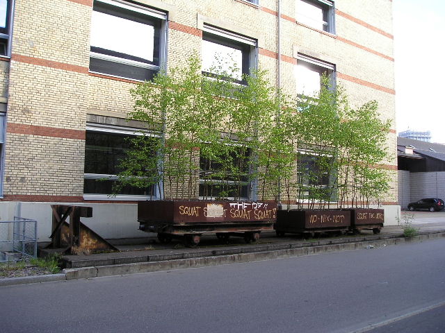 P1010048