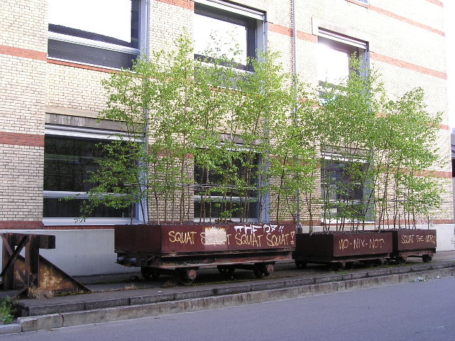 P1010049