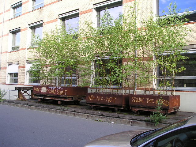 P1010050