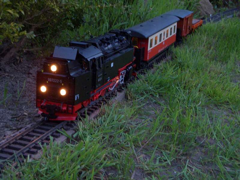 Kurzer DR-Zug 1