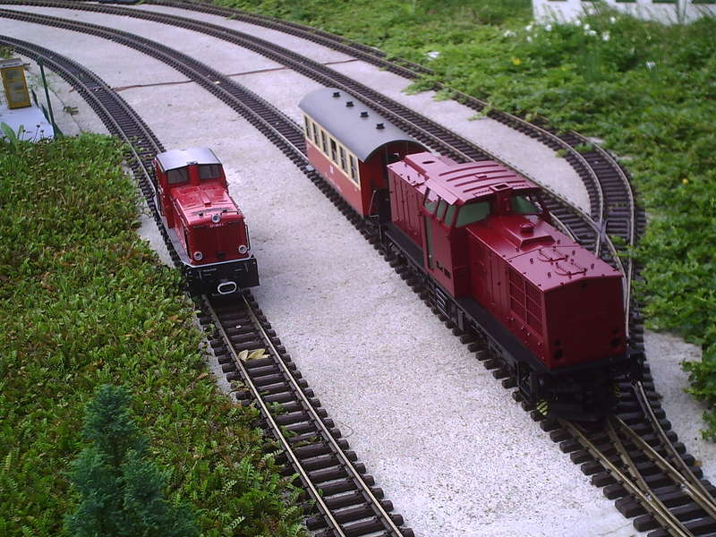 PIC00053