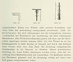 2903Der_Brueckenbau_S_41.jpg