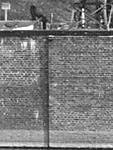 2903Schleuse_Mauer_Kante_04.jpg