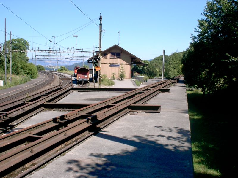600mm Feldbahn neben der SBB Strecke