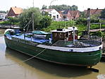 1495Dora2.jpg