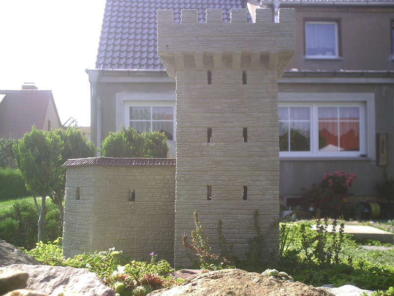 PIC00081
