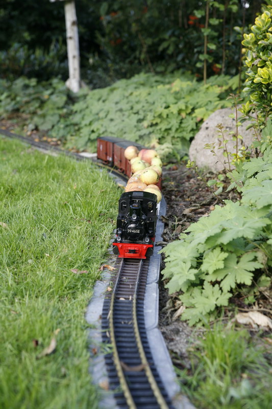 Bergfahrt 3