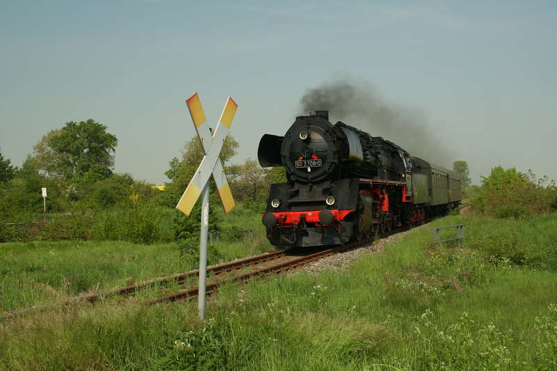 Egeln_739