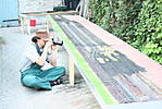 2967IMG_8908.JPG