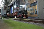 2967Rollwagenzug_Steinere_Renne.jpg