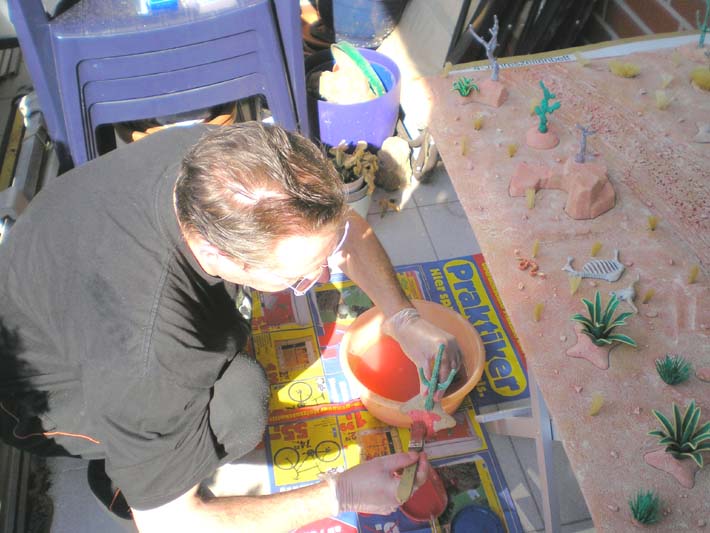 Bild