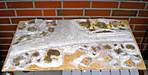3064W_stendiorama_2007-09-20_Bastelarbeiten_15_FR.jpg