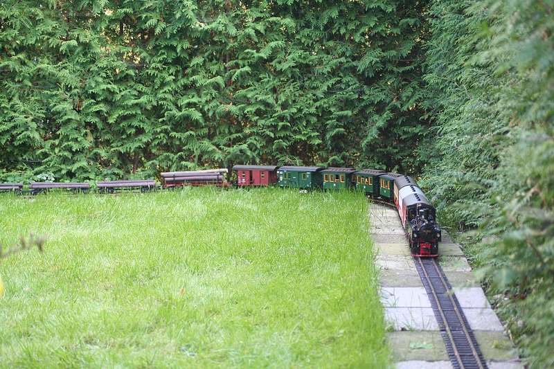 Bild
