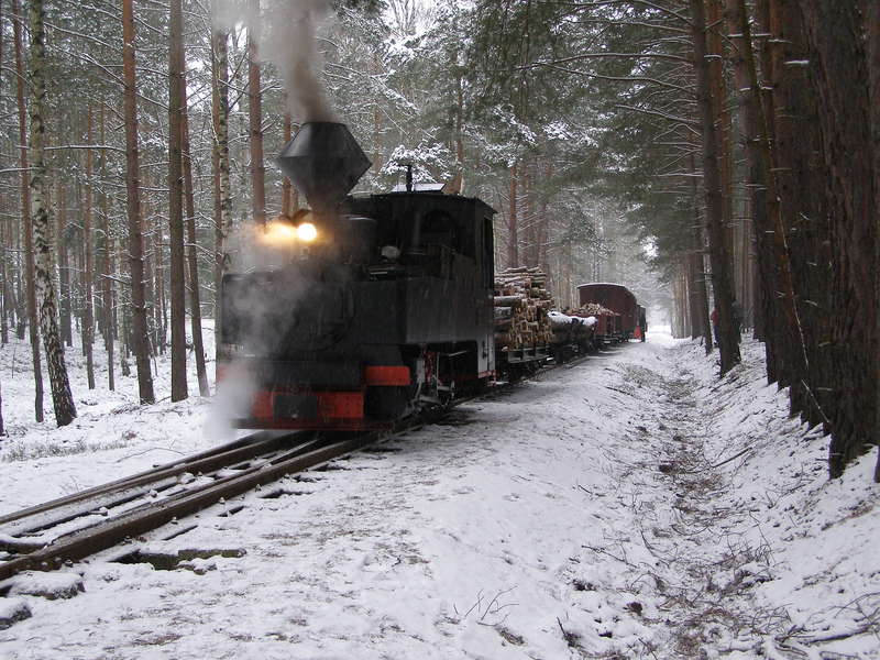 WEM1