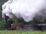 1495PA180302z.jpg