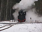 1495WEM6.JPG