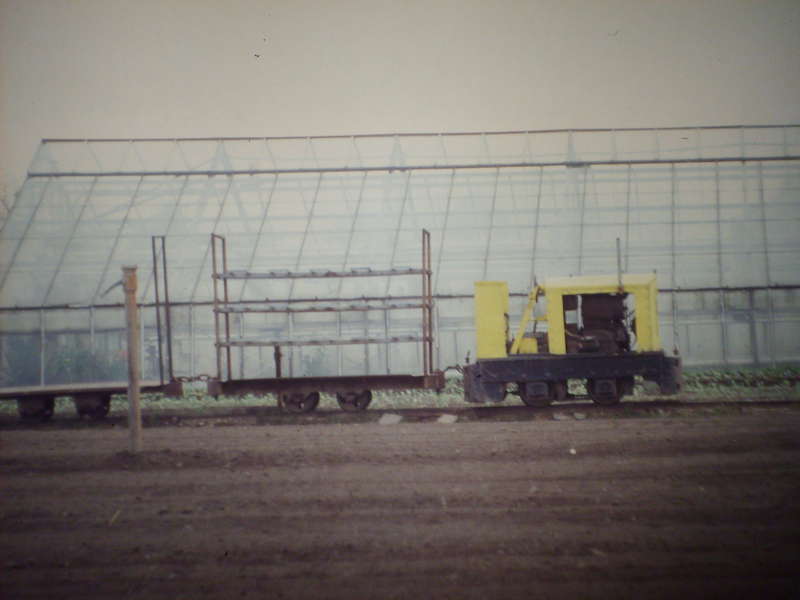 SD530536