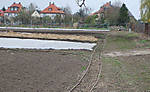 266Grosse_16.jpg