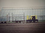 266SD530536.JPG