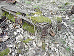266fbw02.jpg
