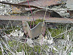 266fbw06.jpg