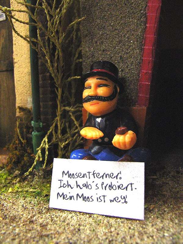 077_Moosentferner
