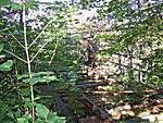 2347100_3880.JPG