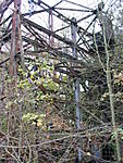 2347116_1663_r1.jpg
