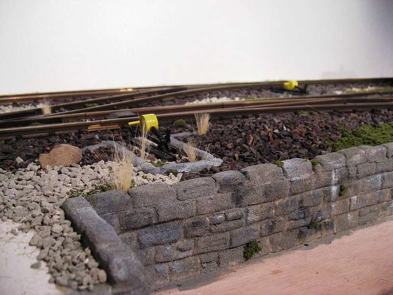 IMGP2617