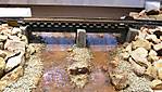 741IMG_3854small.jpg